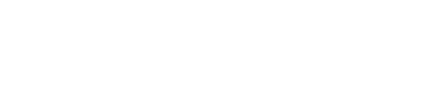 PACE Logo in white